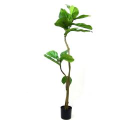 Drzewko dekoracyjne Figowiec 120cm
